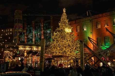 dior chrismas tree|distillery district toronto christmas lights.